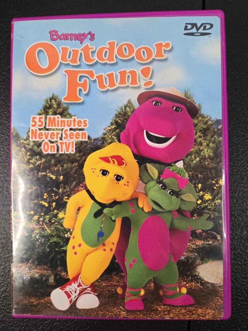 Barney's Outdoor Fun (DVD) 2003 Excellent Condition